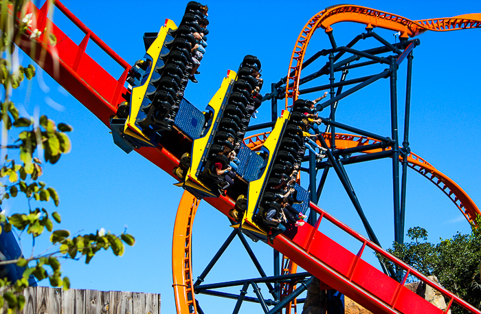 The Bolliger & Mabillard designed SheKra dive roller coaster at Busch Gardens Tampa, Tampa, Florida