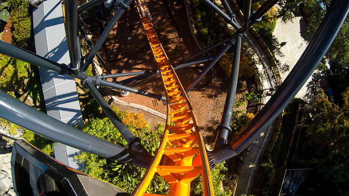 The Premier Rides designed Tigris roller coaster at Busch Gardens Tampa, Tampa, Florida