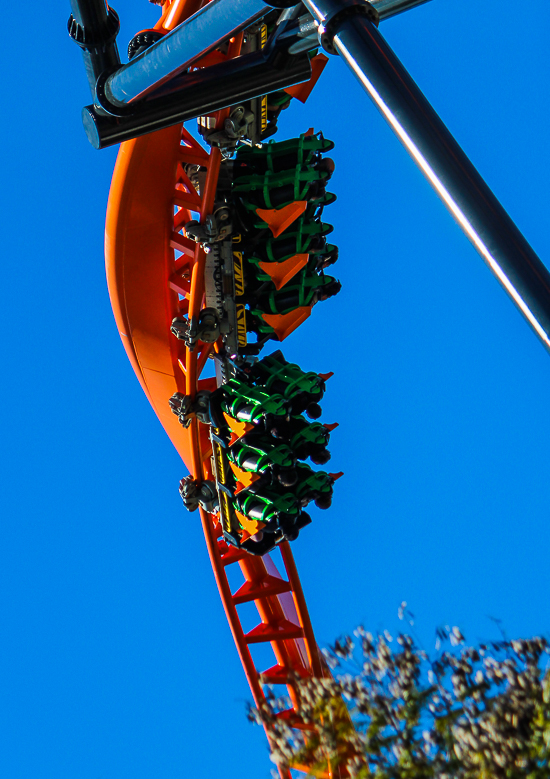 The Premier Rides designed Tigris roller coaster at Busch Gardens Tampa, Tampa, Florida