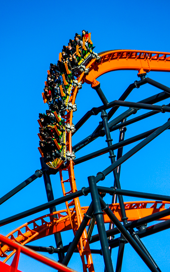 The Premier Rides designed Tigris roller coaster at Busch Gardens Tampa, Tampa, Florida