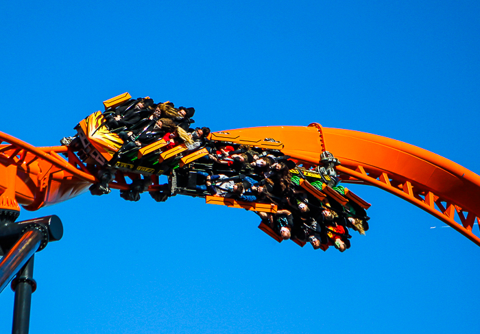 The Premier Rides designed Tigris roller coaster at Busch Gardens Tampa, Tampa, Florida