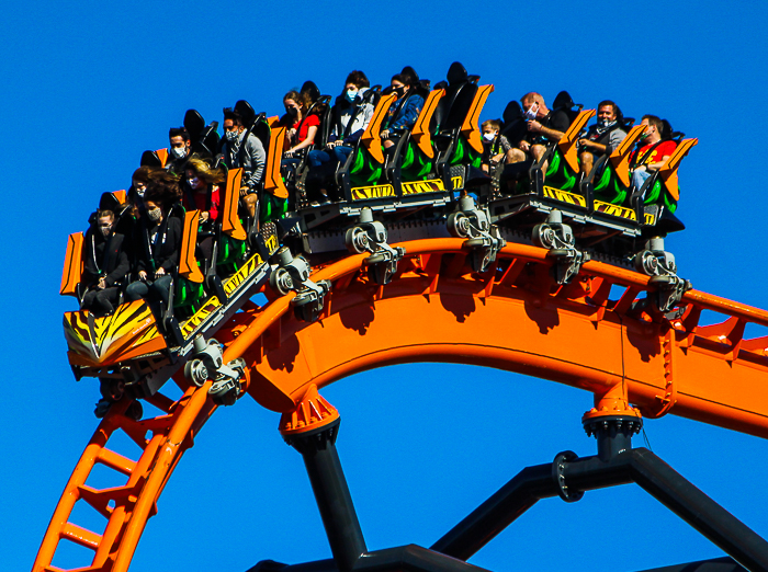 The Premier Rides designed Tigris roller coaster at Busch Gardens Tampa, Tampa, Florida