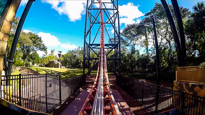 The Premier Rides designed Tigris roller coaster at Busch Gardens Tampa, Tampa, Florida