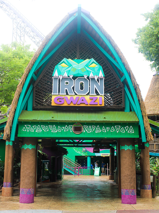 The Iron Gwazi Rollercoaster at Busch Gardens Tampa, Tampa, Florida