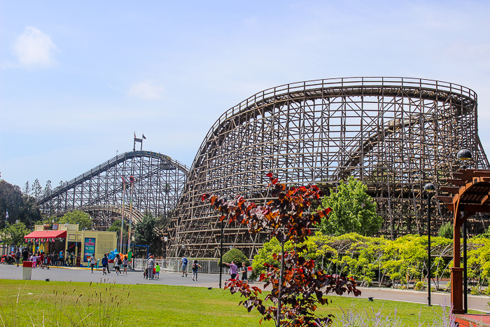 The Grizzly Rollercoaster at California's Great America, Santa Clara, California