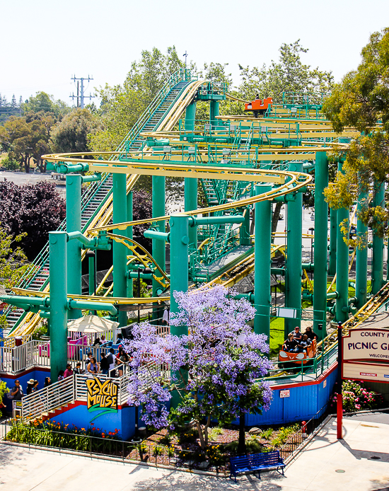 The Psycho Mouse Rollercoaster at California's Great America, Santa Clara, California