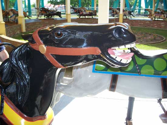 The Racing Derby at Cedar Point, Sandusky, Ohio