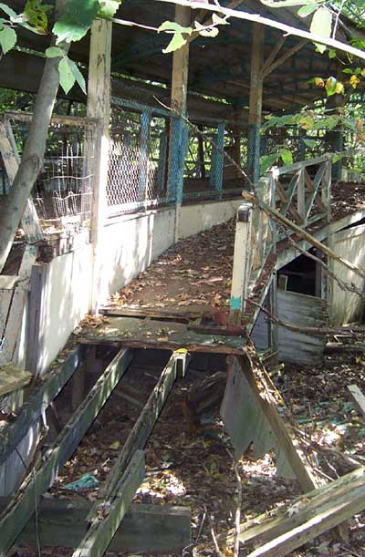 The Abandoned Chippewa Lake Amusement Park, Chippewa Lake, Ohio