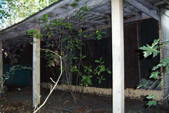 The Abandoned Chippewa Lake Amusement Park, Chippewa Lake, Ohio