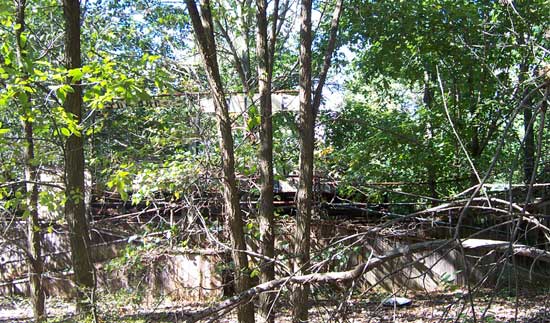 The Abandoned Chippewa Lake Amusement Park, Chippewa Lake, Ohio