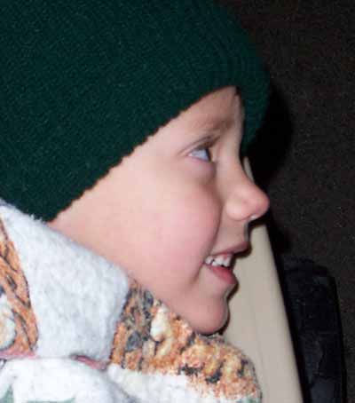 Bond Enjoying The Parade Of Lights At Dollywood, Pigeon Forge, Tennessee