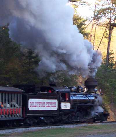 The Dollywood Express!