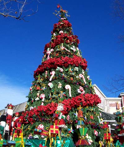 Dollywood, Pigeon Forge, TN