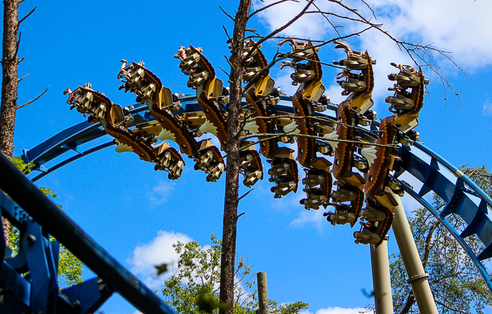 The Wild Eagle rollercoaster at Dollywood Theme Park, Pigeon Forge, Tennessee