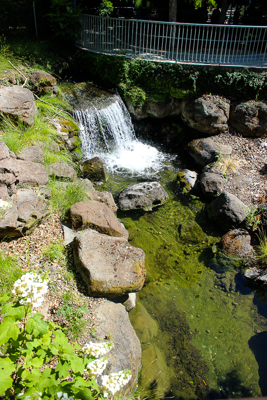 Gilroy Gardens, Gilroy, California