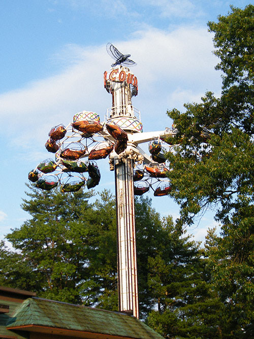 The Condor At The Great Escape, Lake George, New York