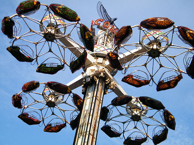 The Condor At The Great Escape, Lake George, New York