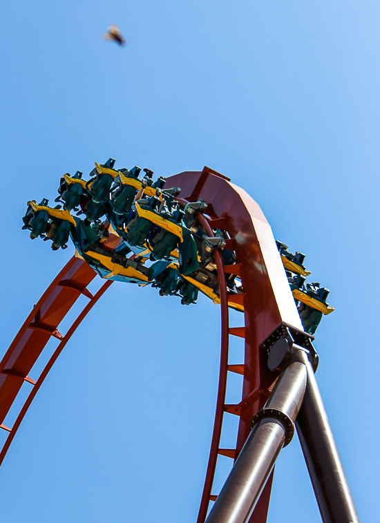 The worlds first launched Wing Rider Rollercoaster Thunderbird at Holiday World, Santa Claus, Indiana