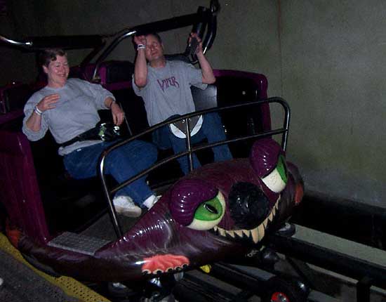 The Exterminator Rollercoaster At Kennywood Park, West Mifflin Pennsylvania