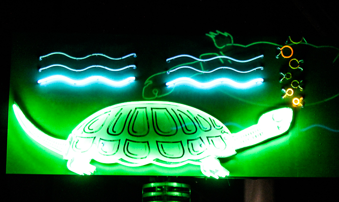 The Turtle at Kennywood Park, West Mifflin, PA