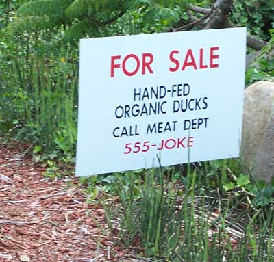 Jungle Jim's Foodland!