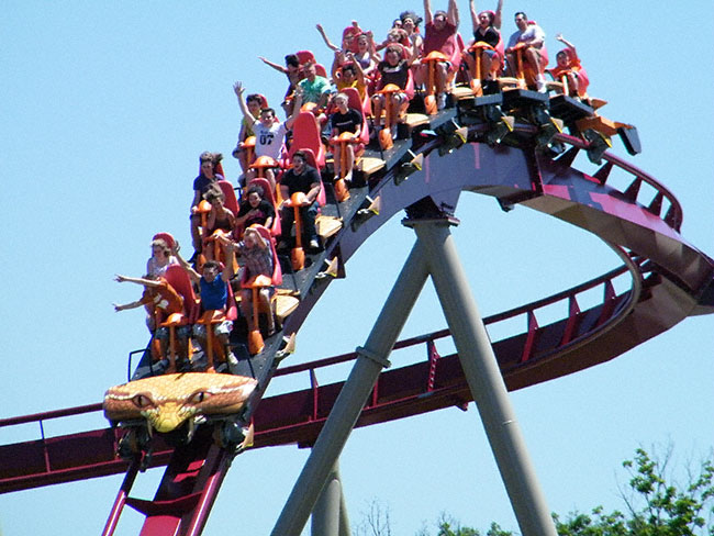 The new for 2009 Diamondback Roller Coaster at Kings Island, Kings Mills, Ohio