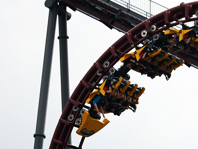 The Firehawk Roller Coaster at Kings Island, Kings Mills, Ohio