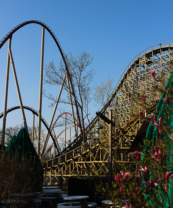 The new for 2017 Mystic Timbers Wooden Rollercoaster at Kings Island, Kings island, Ohio