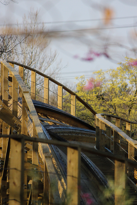 The new for 2017 Mystic Timbers Wooden Rollercoaster at Kings Island, Kings island, Ohio