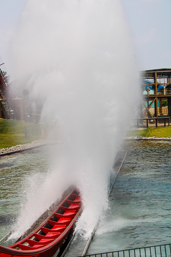 The Dismondback Rollercoaster at Kings Island, Kings island, Ohio