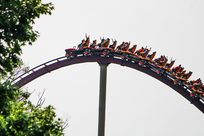 The Diamondback Rollercoaster at Kings Island, Kings island, Ohio