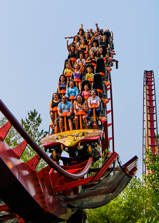 The Dismondback Rollercoaster at Kings Island, Kings island, Ohio