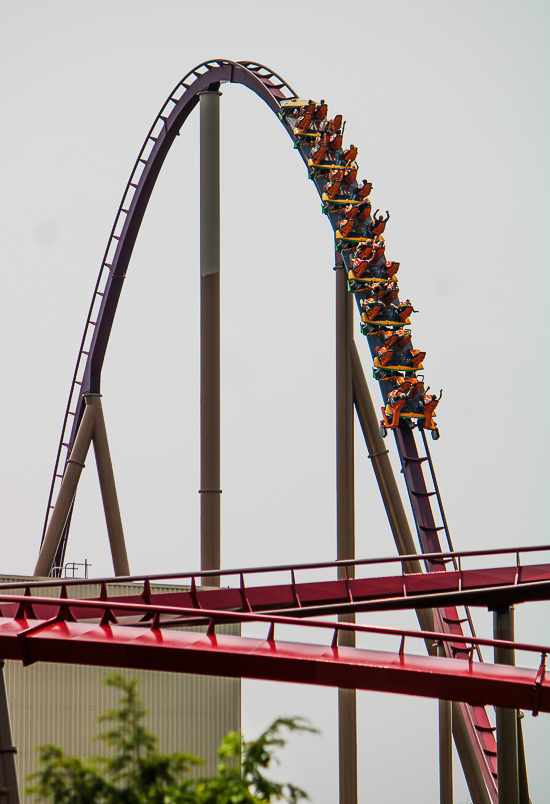 The Dismondback Rollercoaster at Kings Island, Kings island, Ohio