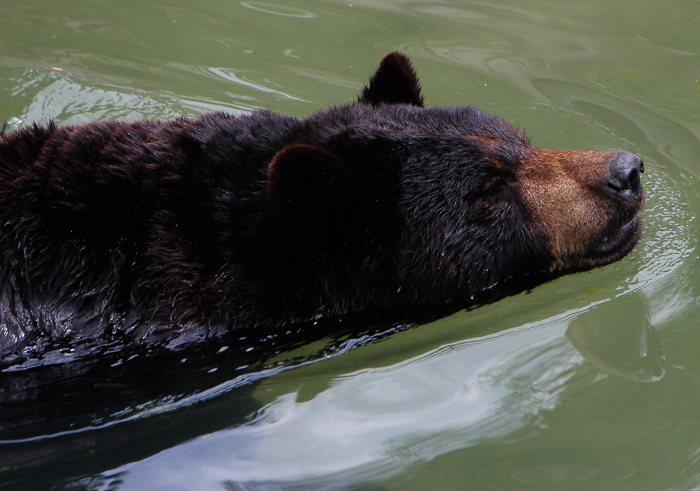 Marineland of Canada, Niagara Falls, Ontario