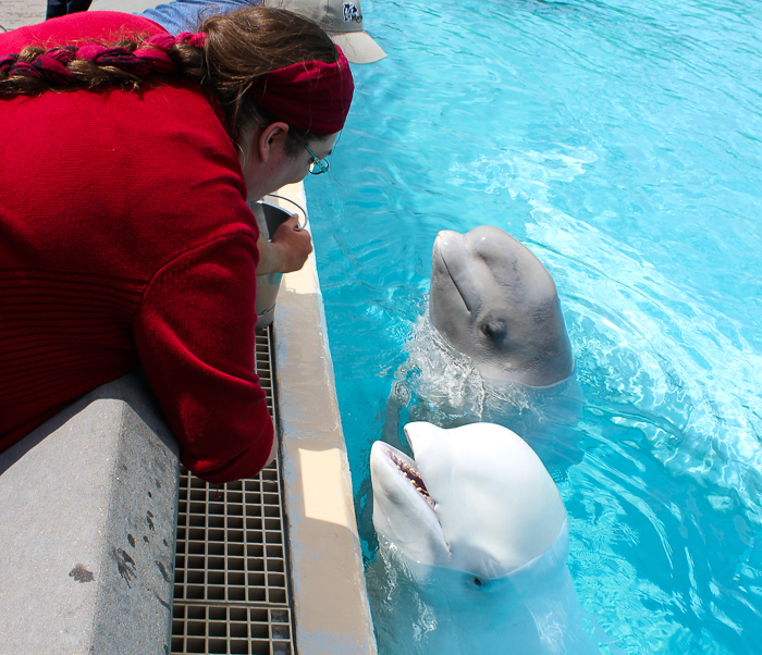 Marineland of Canada, Niagara Falls, Ontario