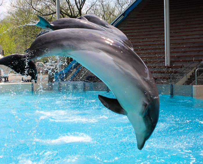 Marineland of Canada, Niagara Falls, Ontario