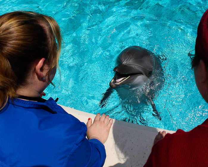 Marineland of Canada, Niagara Falls, Ontario