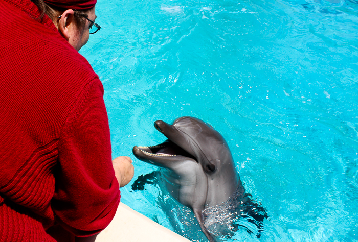 Marineland of Canada, Niagara Falls, Ontario