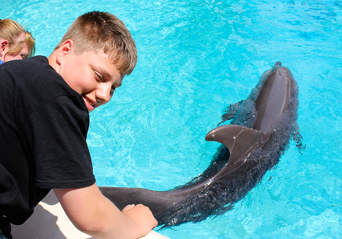 Marineland of Canada, Niagara Falls, Ontario