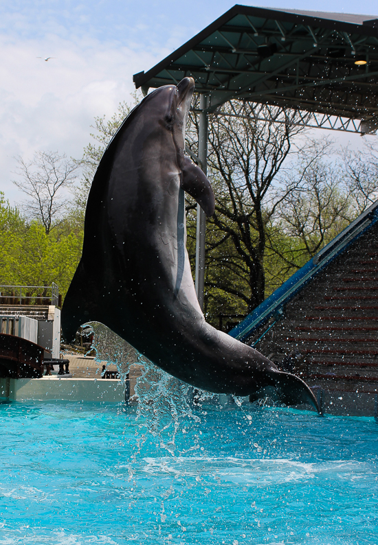 Marineland of Canada, Niagara Falls, Ontario