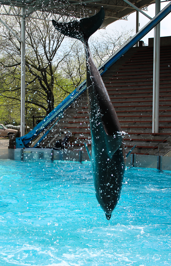 Marineland of Canada, Niagara Falls, Ontario