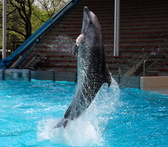 Marineland of Canada, Niagara Falls, Ontario