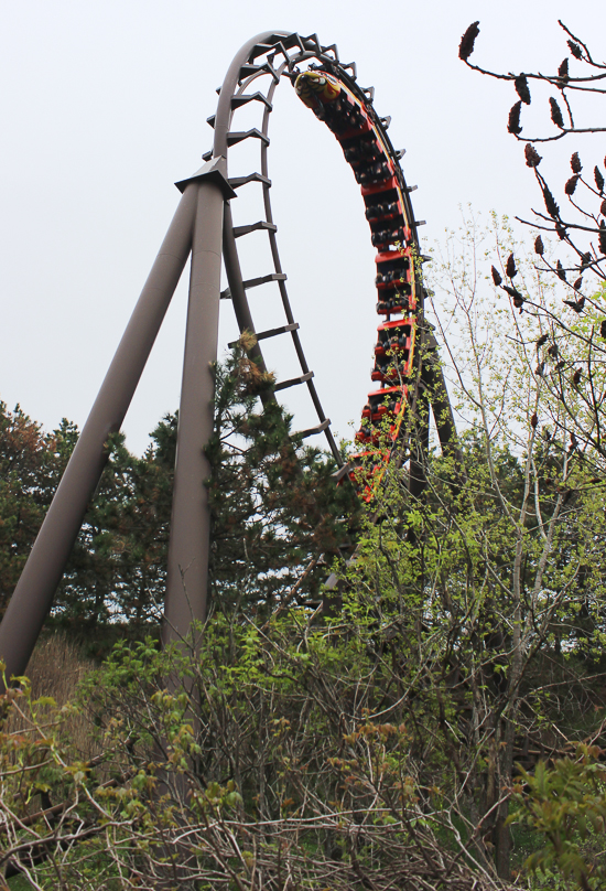 The Dragon Mountain Rollercoaster at Marineland of Canada, Niagara Falls, Ontario