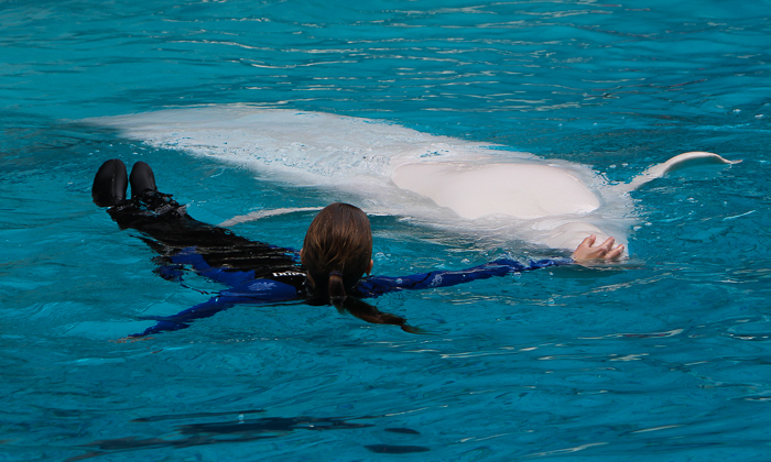 Marineland of Canada, Niagara Falls, Ontario