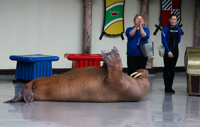 Marineland of Canada, Niagara Falls, Ontario