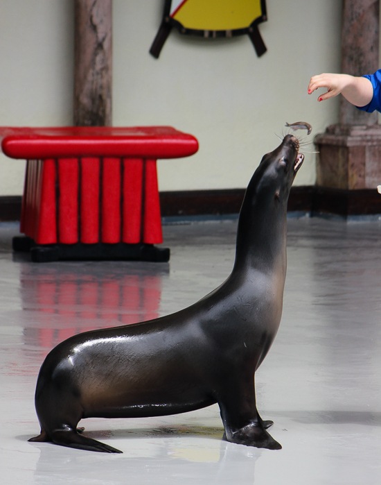 Marineland of Canada, Niagara Falls, Ontario