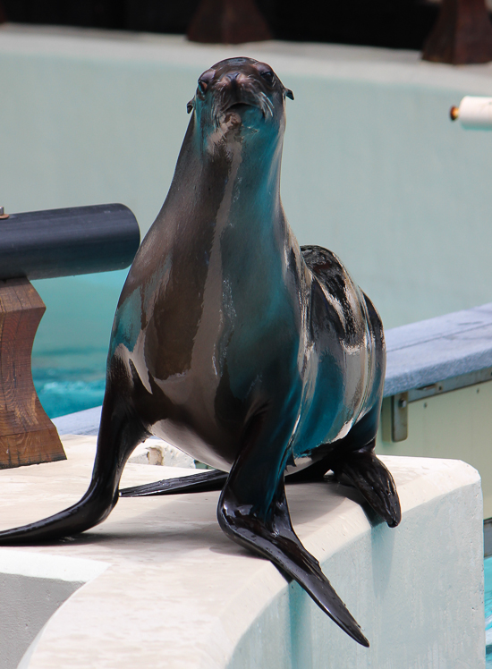 Marineland of Canada, Niagara Falls, Ontario