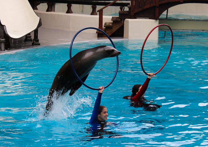 Marineland of Canada, Niagara Falls, Ontario