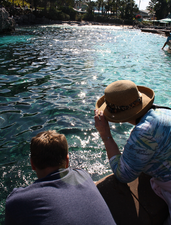 The Dolphin Cove at SeaWorld Orlando, Orlando, Florida