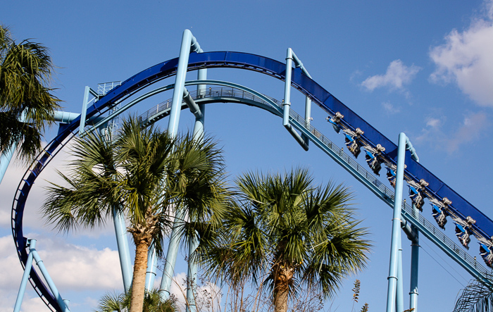 Manta, SeaWorld Orlando